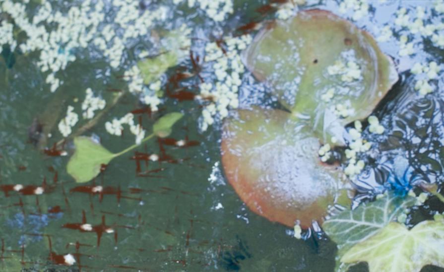 SKYLIGHTS, NIGHTLIGHT installation project 2017