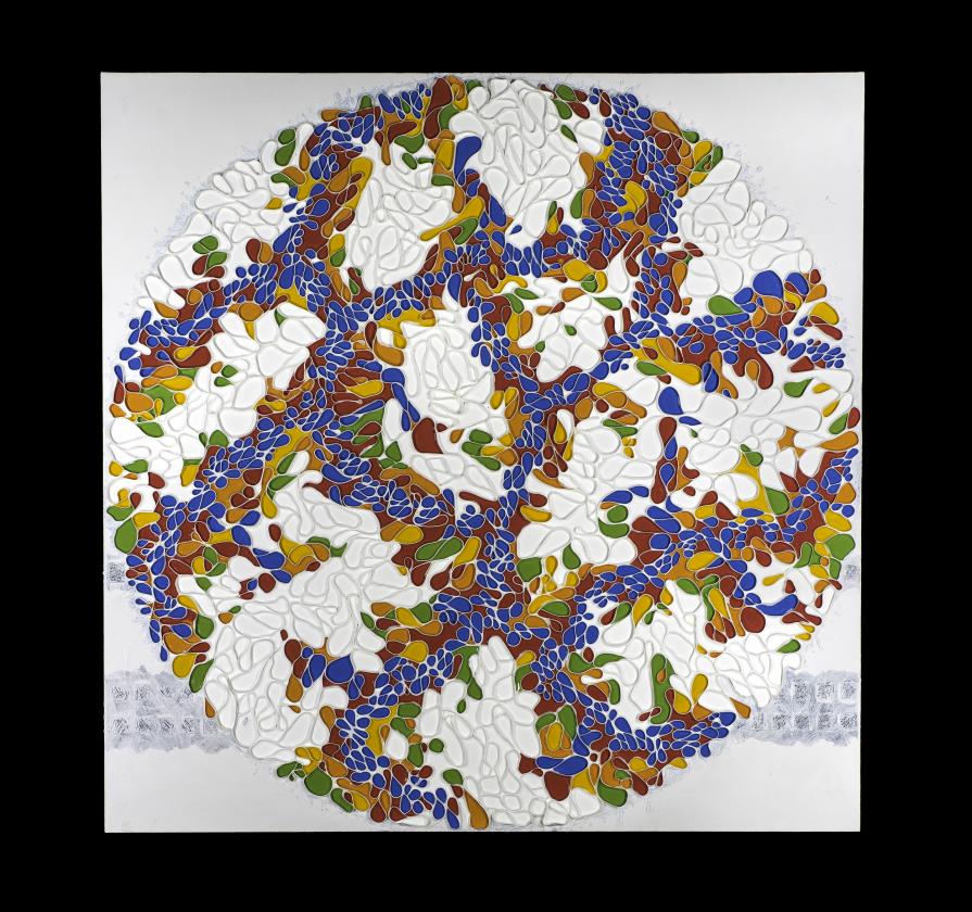 Midnight Sun - Braided Series