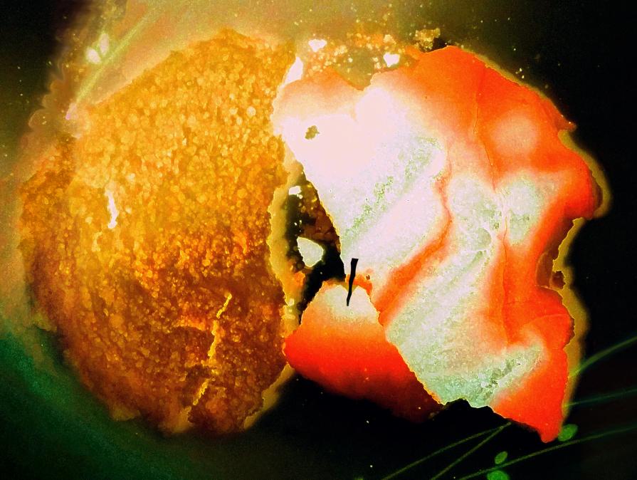 Respiro dell'universo