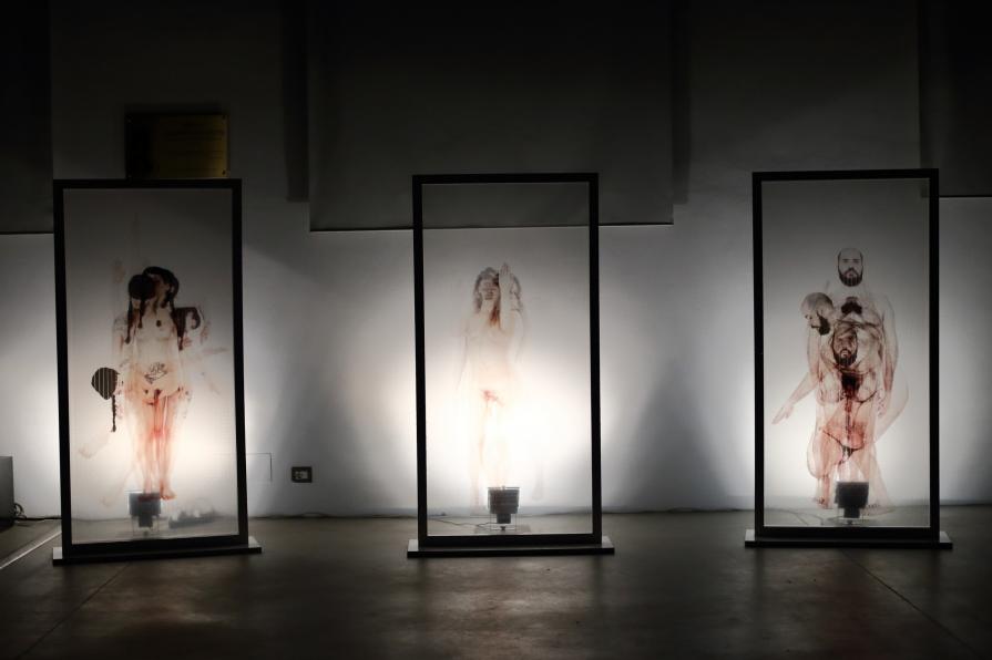 free_still_ free_still_