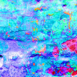 Indian Wall #4 Indian Wall #4