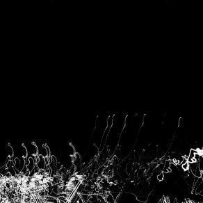 Prima di chiudere gli occhi.....per sempre   - Before closing  eyes ..... forever  -