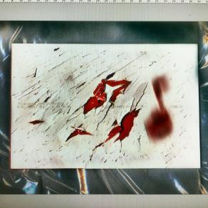 Le mie aree di competenza.