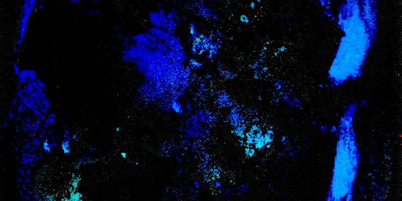 Terzo concorso Internazionale 30x30