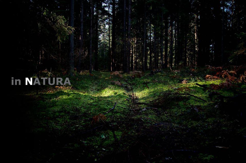 IN NATURA IN NATURA