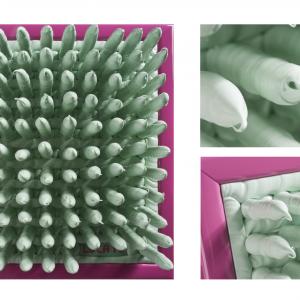 Affordable Art Fair - Luca Moretto