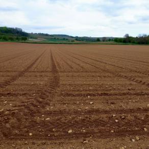 Parallèle et perpendiculaire