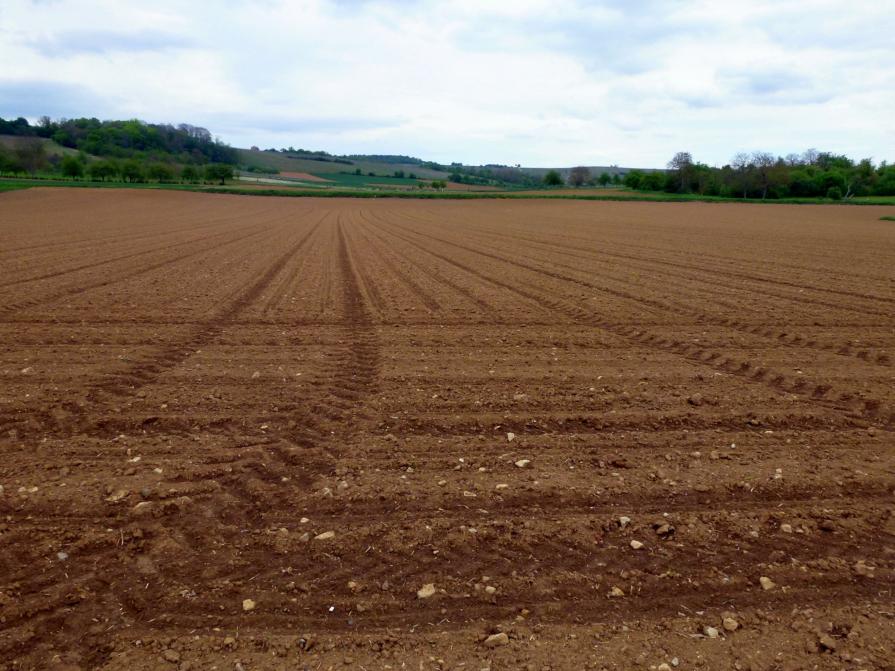 Parallèle et perpendiculaire