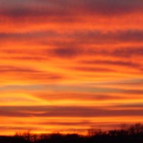 NATURE: THIS IS MY GOD!