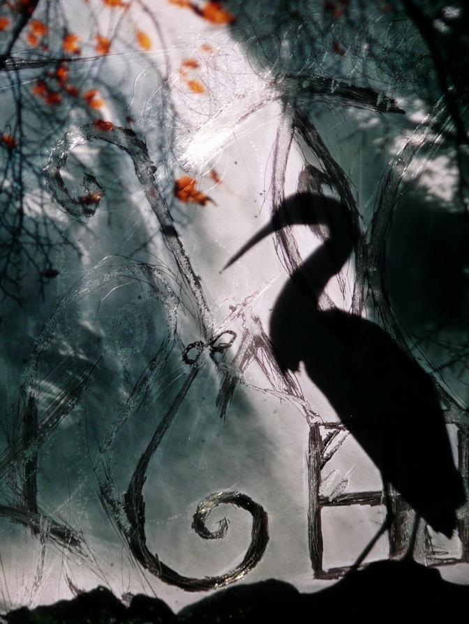 The Pussy,the mirror,the window,the spiral and the egret.Dimly by mirror.Sasom i en spegel..I.BERGMA