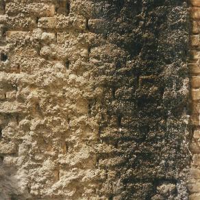 miracle in captivity 2