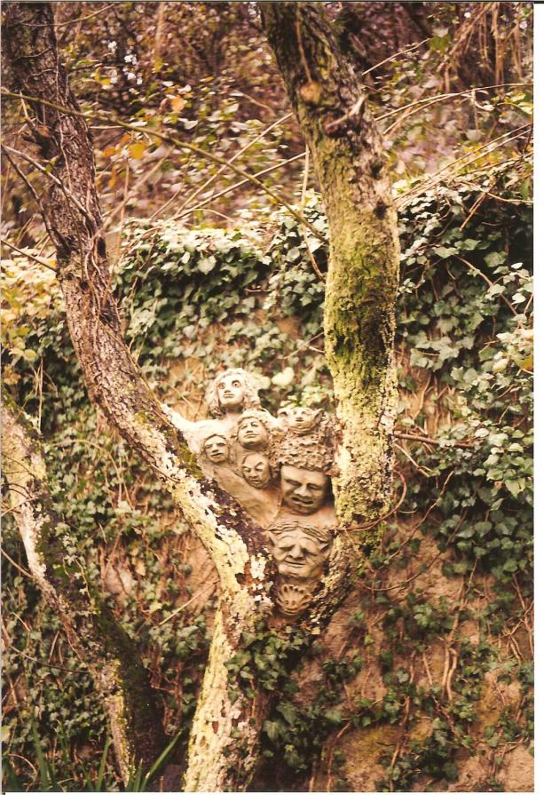 terra cruda terra cruda