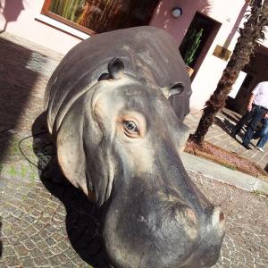 Reflexes on the lake Reflexes on the lake