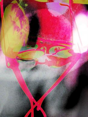 Almoaq, The war handicapped 