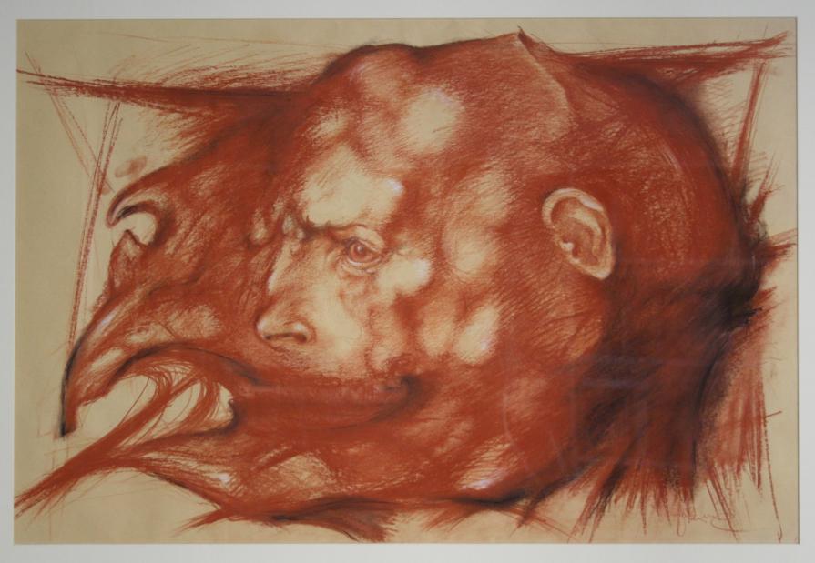 Diprotodon memorie Diprotodon memorie