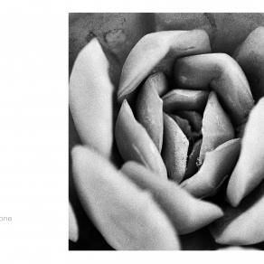 Abbecedario - Occasione