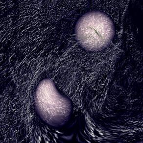 Anima e Spirito vicini al ricongiungimento 