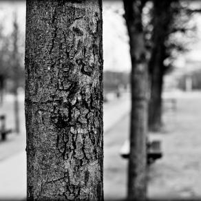 Jardin du Luxemburg-Paris-3