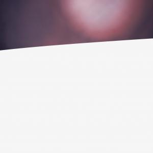 untitled, 100x80cm, oil on canvas, 2015 untitled, 100x80cm, oil on canvas, 2015