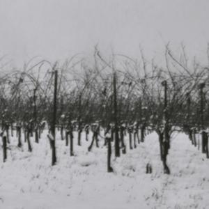 The last summer / II. Travail Spirituel