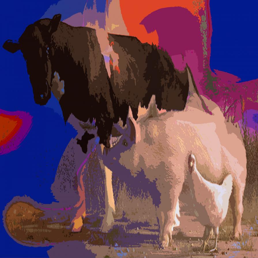 . . . NELLA VECCHIA FATTORIA !!! . . . 