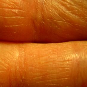 Brandelli Cut/anei (IV)