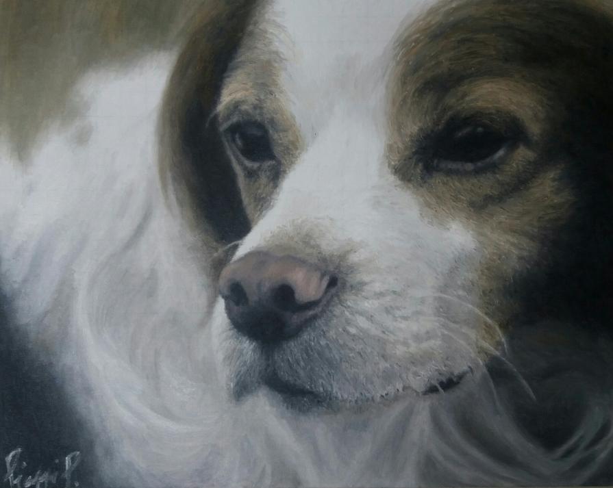 HUNTER (IL CACCIATORE)