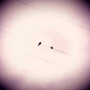 Il narratore ( The story teller ) 