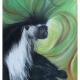 COLOBUS