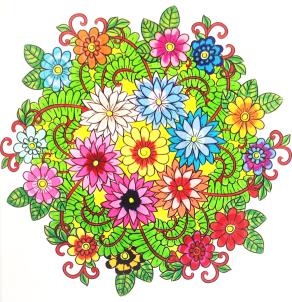 L’incanto della freschezza...!!!