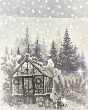 Christmas Collection... n 13