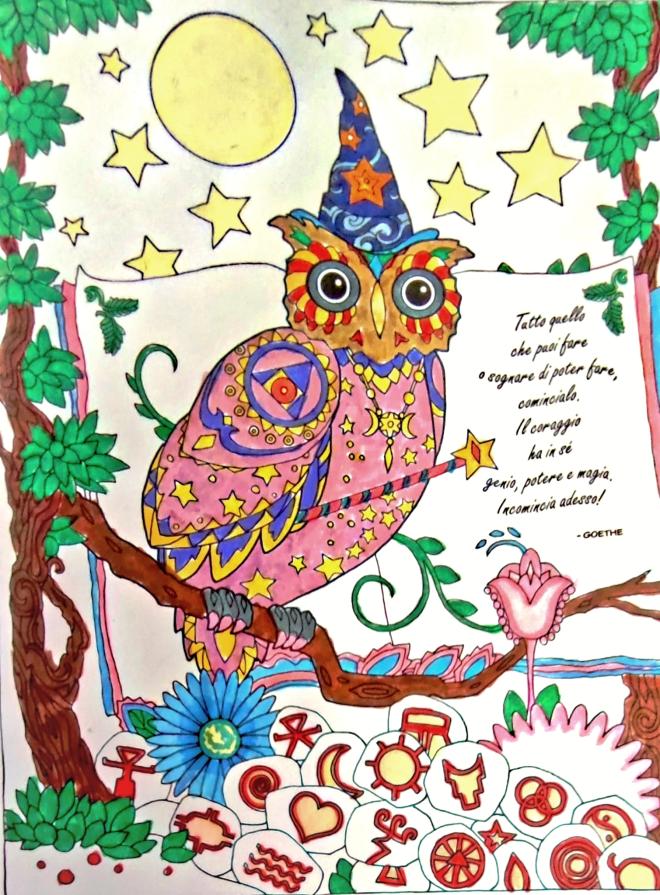 La saggezza vede oltre l'oscurità; il coraggio agisce con la luce delle stelle 