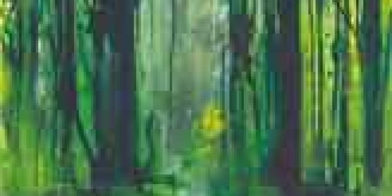 BERND ZIMMER Seconda Natura 