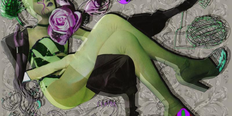 The digital graphic: my diversity of the image The digital graphic: my diversity of the image