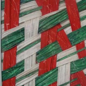 Gennarino Salvo, intervista