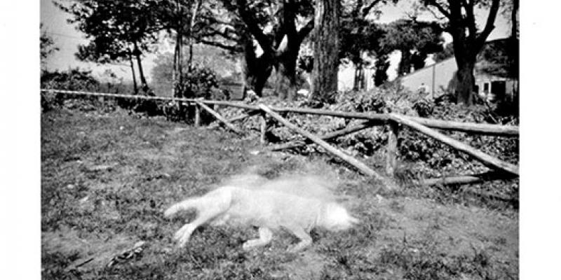 PUNTI DI VISTA PUNTI DI VISTA