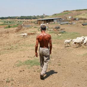 Campagna romana #9-2006