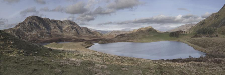  Impossibility of diametric neurosis