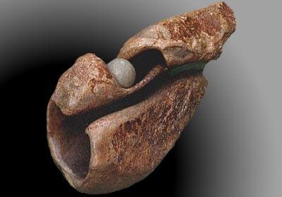 the color of my country (frontal view)