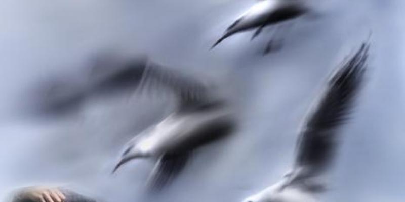 " in primavera2012,tre giornate in vino veritart"