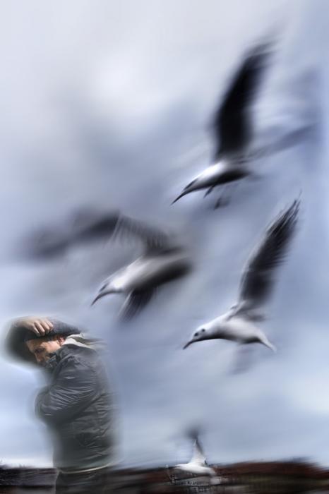 " in primavera2012,tre giornate in vino veritart"