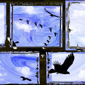 Ritratto di una Migrazione - AlternativeVision