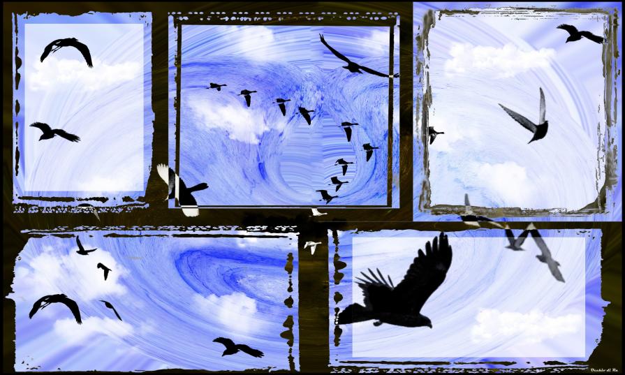 Ritratto di una Migrazione - AlternativeVision