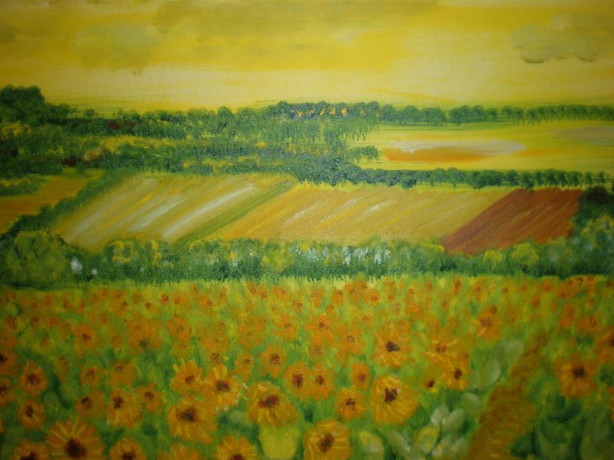 CAMPO DI GIRASOLI