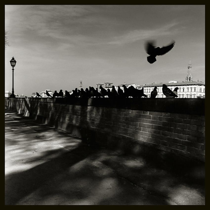 Italia, 20 - by Augusto De Luca