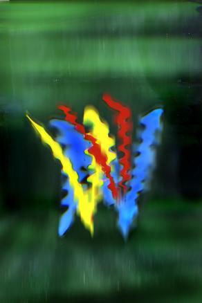 l'erba del vicino è sempre piu' colorata.