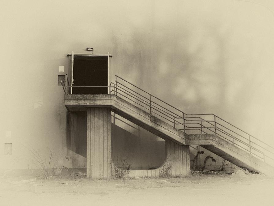 La cultura dell'abbandono