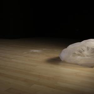 Uscita dall'embrione