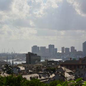 Genova candida    Candid Genoa