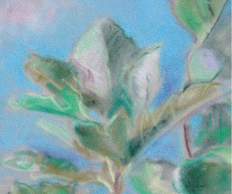 Lo splendore del fico